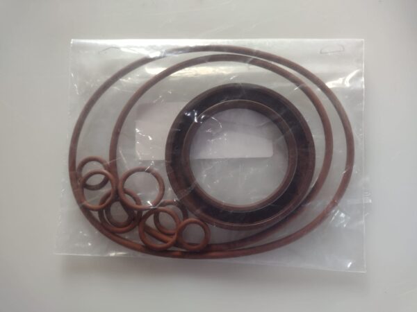 84168175R - Kit vedação motor de roda colheitadeira Case 7120-8120